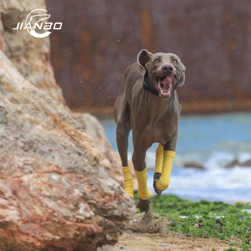 Sport pet leg warmer