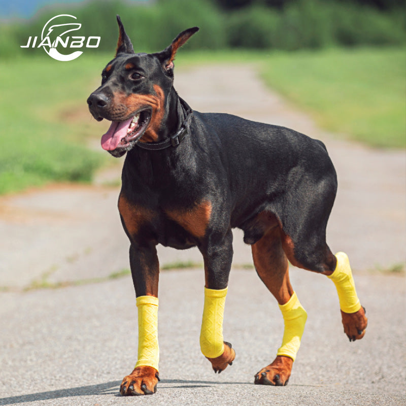 Sport pet leg warmer
