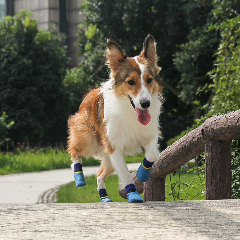 waterproof pet shoes