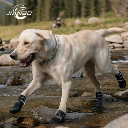 pod Upstream Shoes