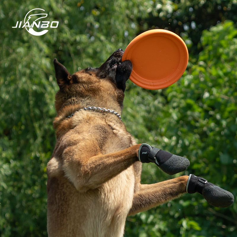 WindRacer Dog Disc