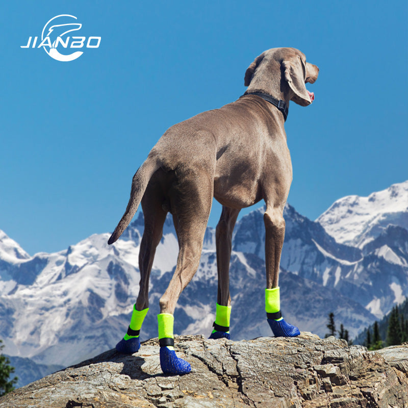 pod Cushioned Shoes