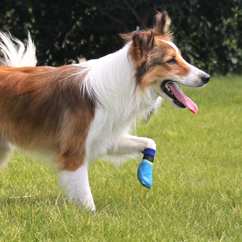 waterproof pet shoes