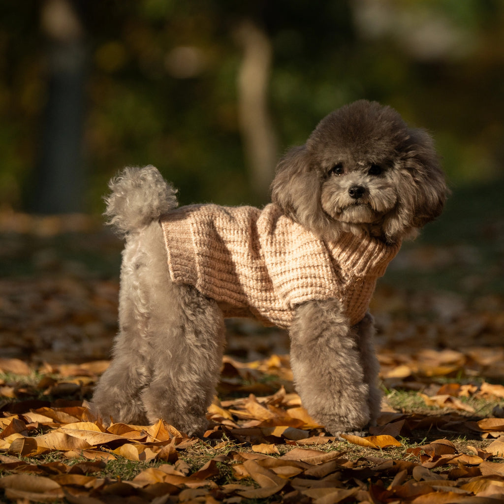 Monet's Morning Tea Collection Set