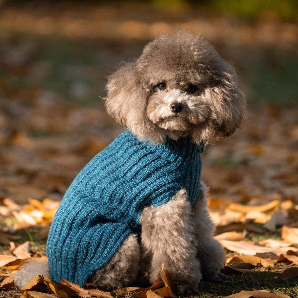 Monet's Morning Tea Collection Set