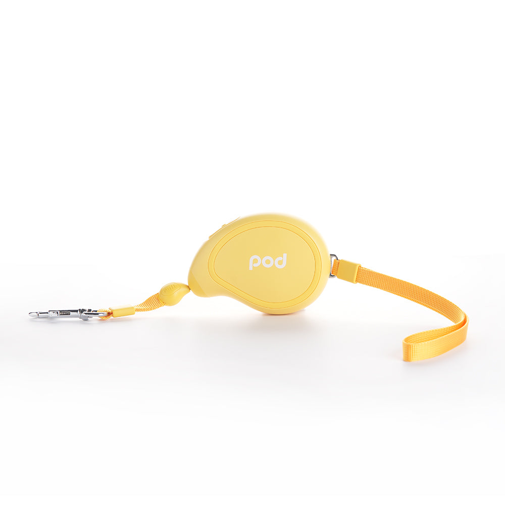 Mini Size Mango Pet Leash