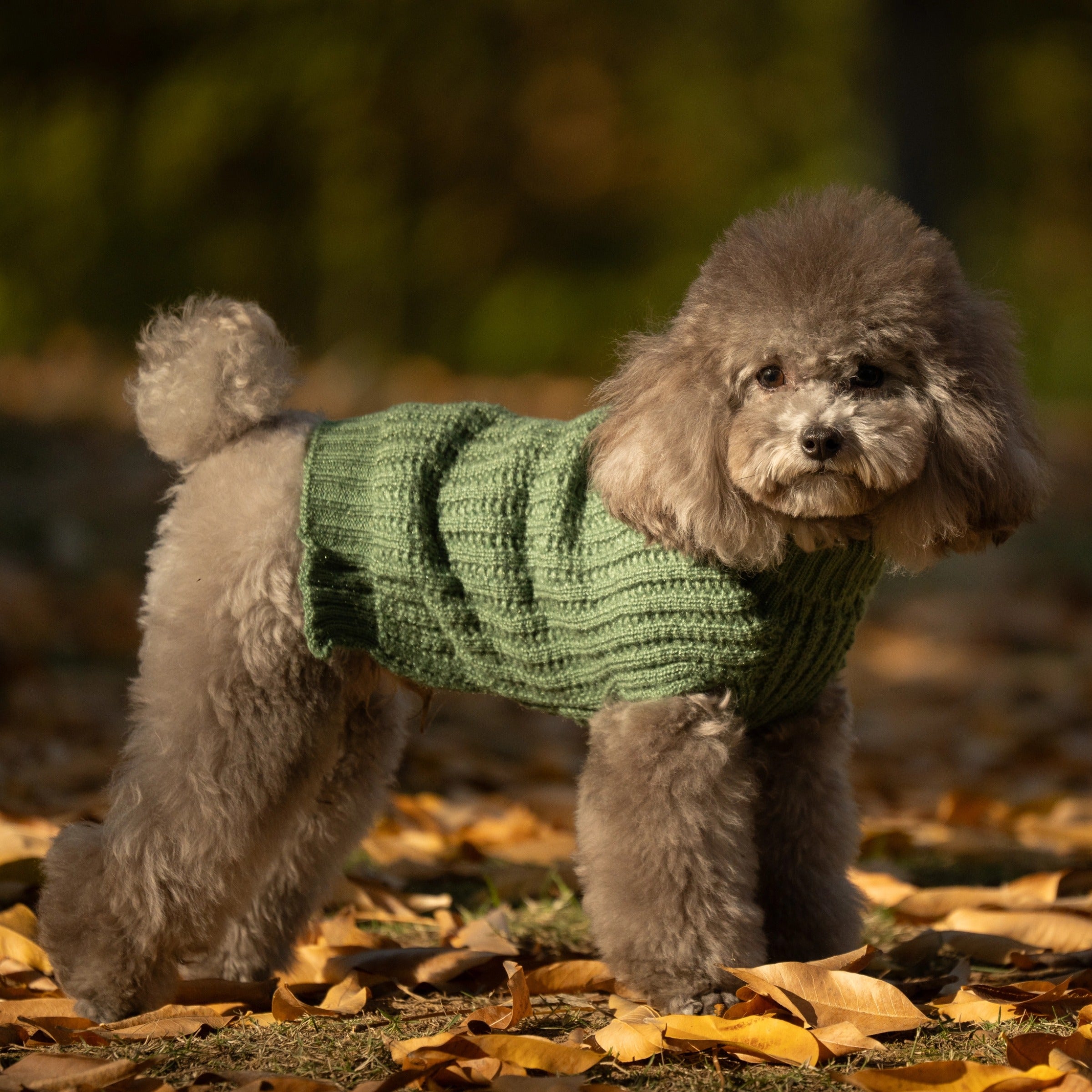 Monet's Morning Tea Collection Set