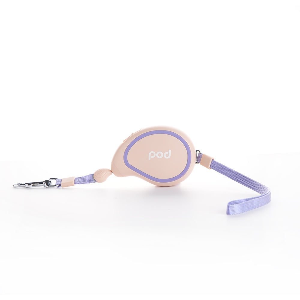 Mini Size Mango Pet Leash