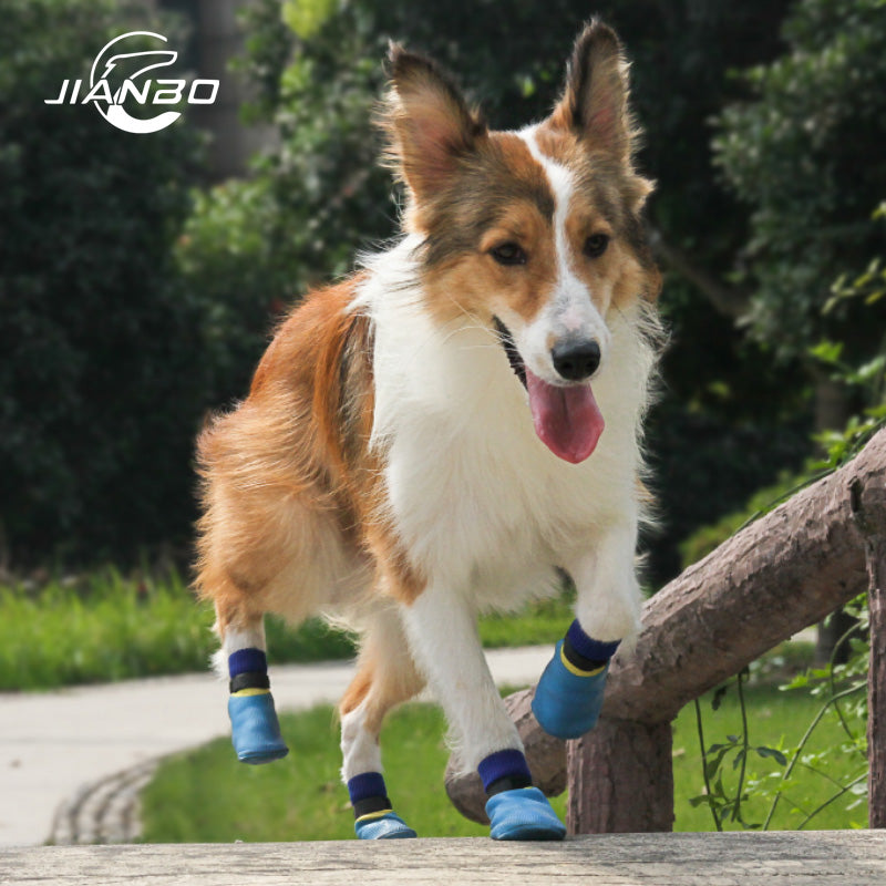 waterproof pet shoes