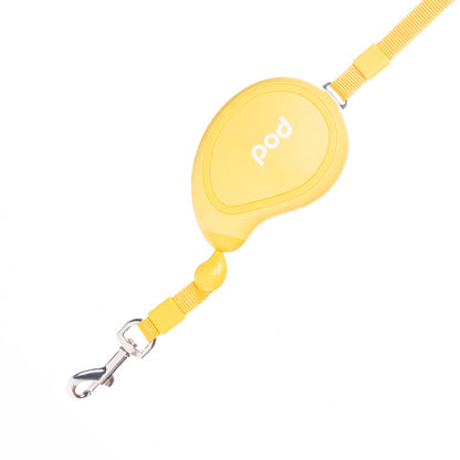 Mango mini pet retractable leashes